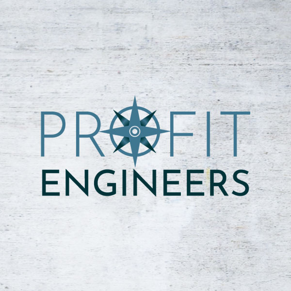 Profit Engineers logo created by Mandy Love Creative